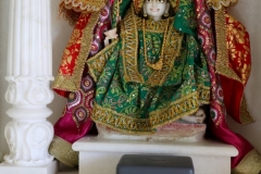 10th-Anniversary-Adhar-Abhishek-180