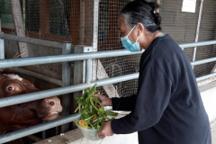 NewGokulFarm-4 NewGokulFarm-4