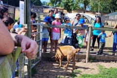 North-Gujarati-School-Farm-Trip-1