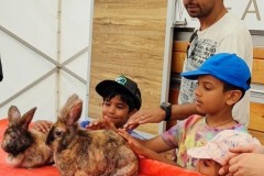 North-Gujarati-School-Farm-Trip-10