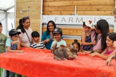 North-Gujarati-School-Farm-Trip-11