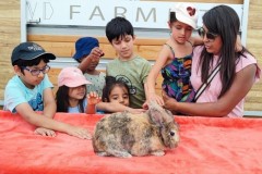 North-Gujarati-School-Farm-Trip-12