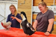 North-Gujarati-School-Farm-Trip-13