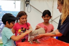 North-Gujarati-School-Farm-Trip-14