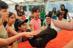 North-Gujarati-School-Farm-Trip-15