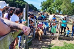 North-Gujarati-School-Farm-Trip-2