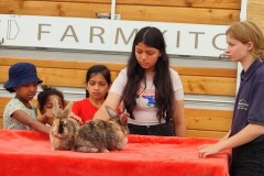 North-Gujarati-School-Farm-Trip-4