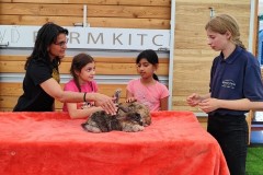 North-Gujarati-School-Farm-Trip-5