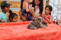 North-Gujarati-School-Farm-Trip-6