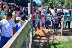 North-Gujarati-School-Farm-Trip-7