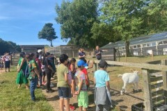 North-Gujarati-School-Farm-Trip-8