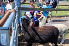 North-Gujarati-School-Farm-Trip-9